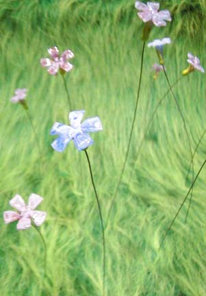 "vinca" installation - flame worked glass, copper wire, patins, fabric - by artist vivienne bell